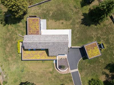 Picture 41
